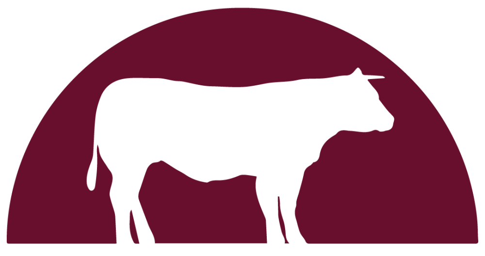 Logo-2 Logo-2